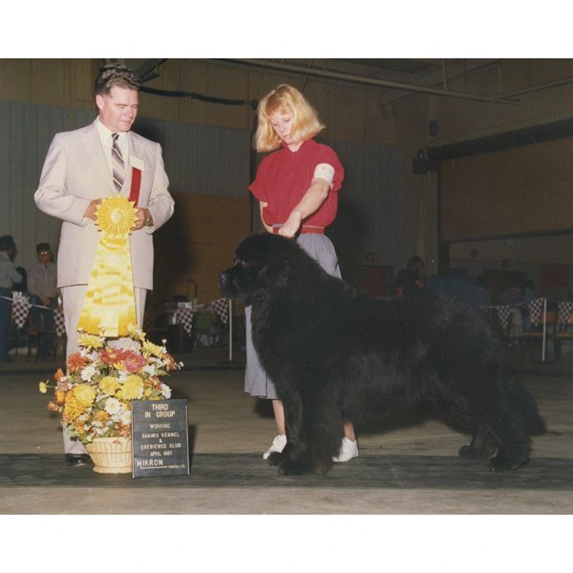 R Abbyacres Duncan McIver (22-05-1981)